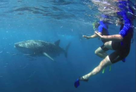 Michelle and Paul Swiming with Whale Shark